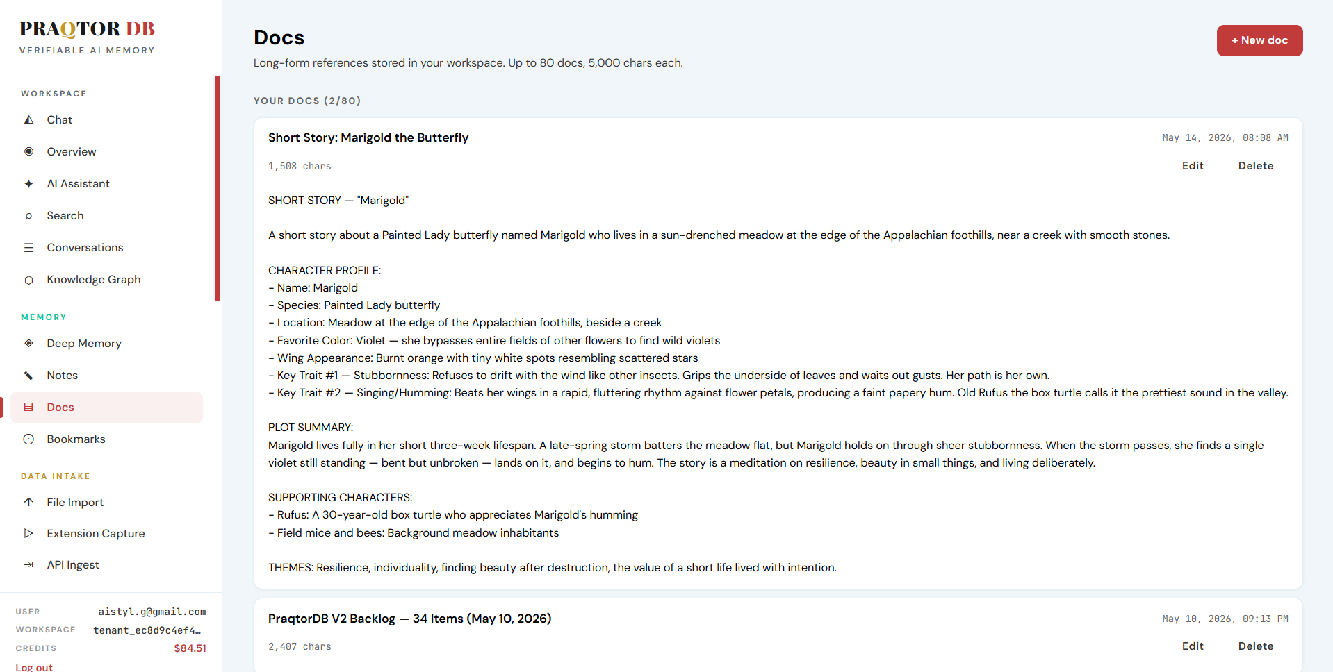 PraqtorDB Docs UI showing the structured saved document